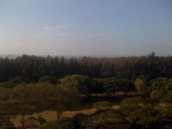 Hawaii Tower (D15), Condominium #120408112